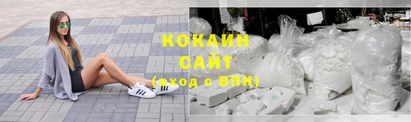 прущие грибы Богданович