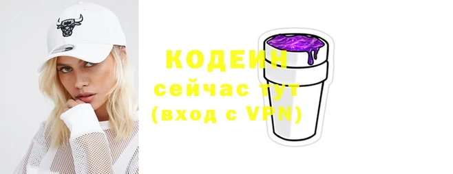 гашик Сосновка