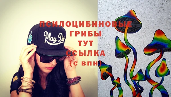 сатива Бугульма