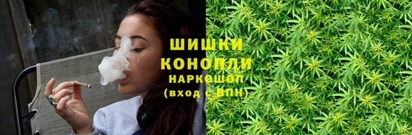 индика Володарск