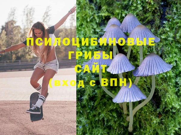 сатива Бугульма