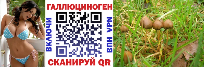 Псилоцибиновые грибы прущие грибы Новоржев