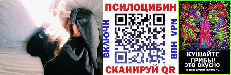 Галлюциногенные грибы GOLDEN TEACHER  купить наркоту  Новоржев 